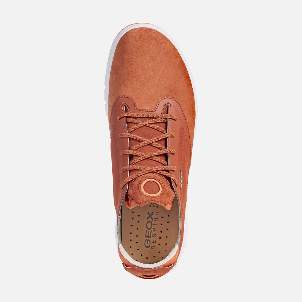 Basket Geox Aerantis - Orange - Homme 509482-HIG